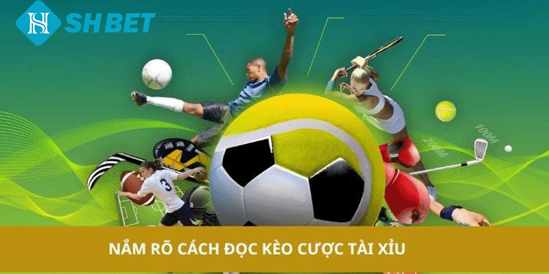Nắm rõ cách đọc kèo cược tài xỉu